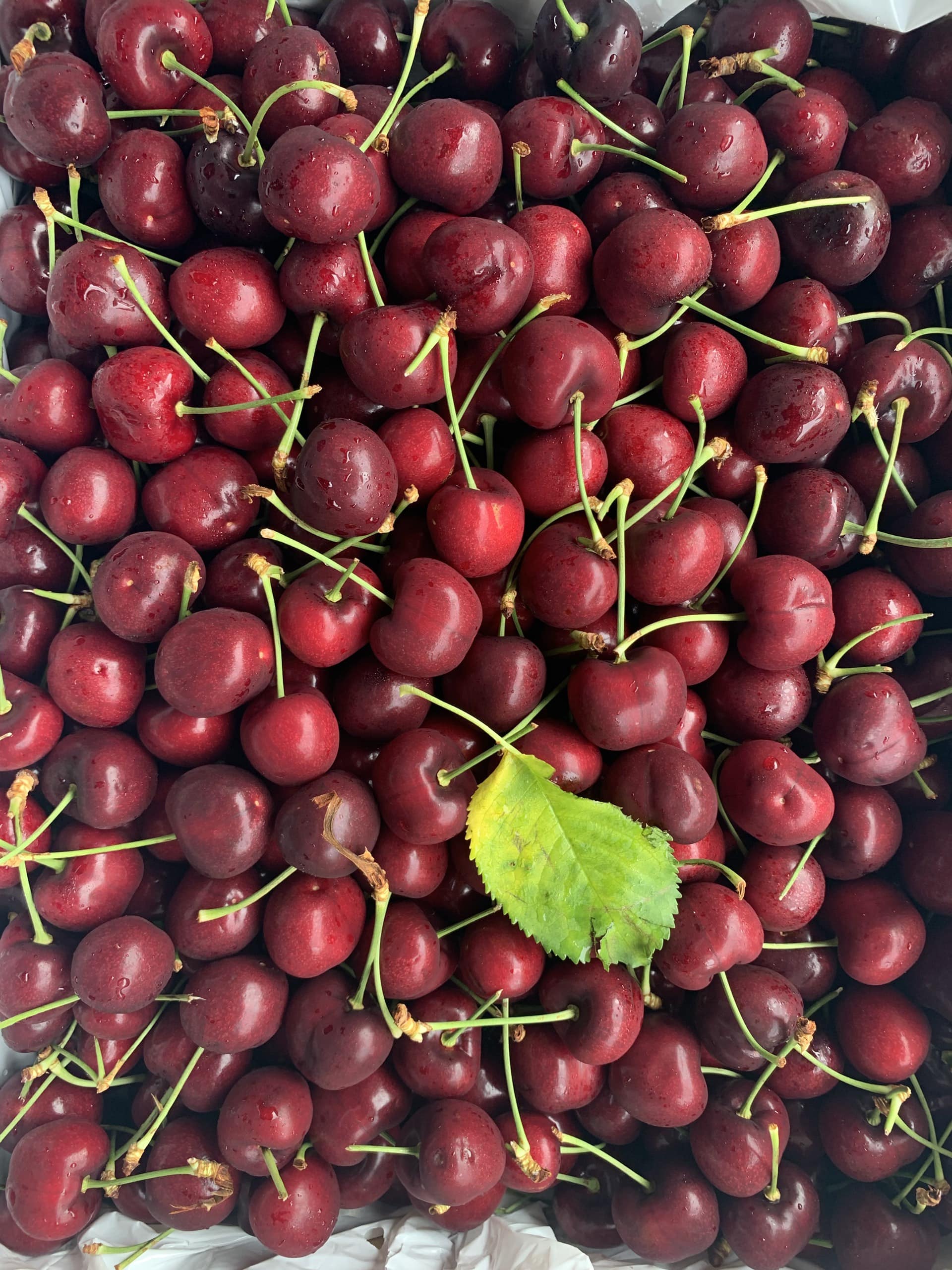 Anh đào đỏ Mỹ giá bao nhiêu? | Trái Cây Sạch Fuji Fruits