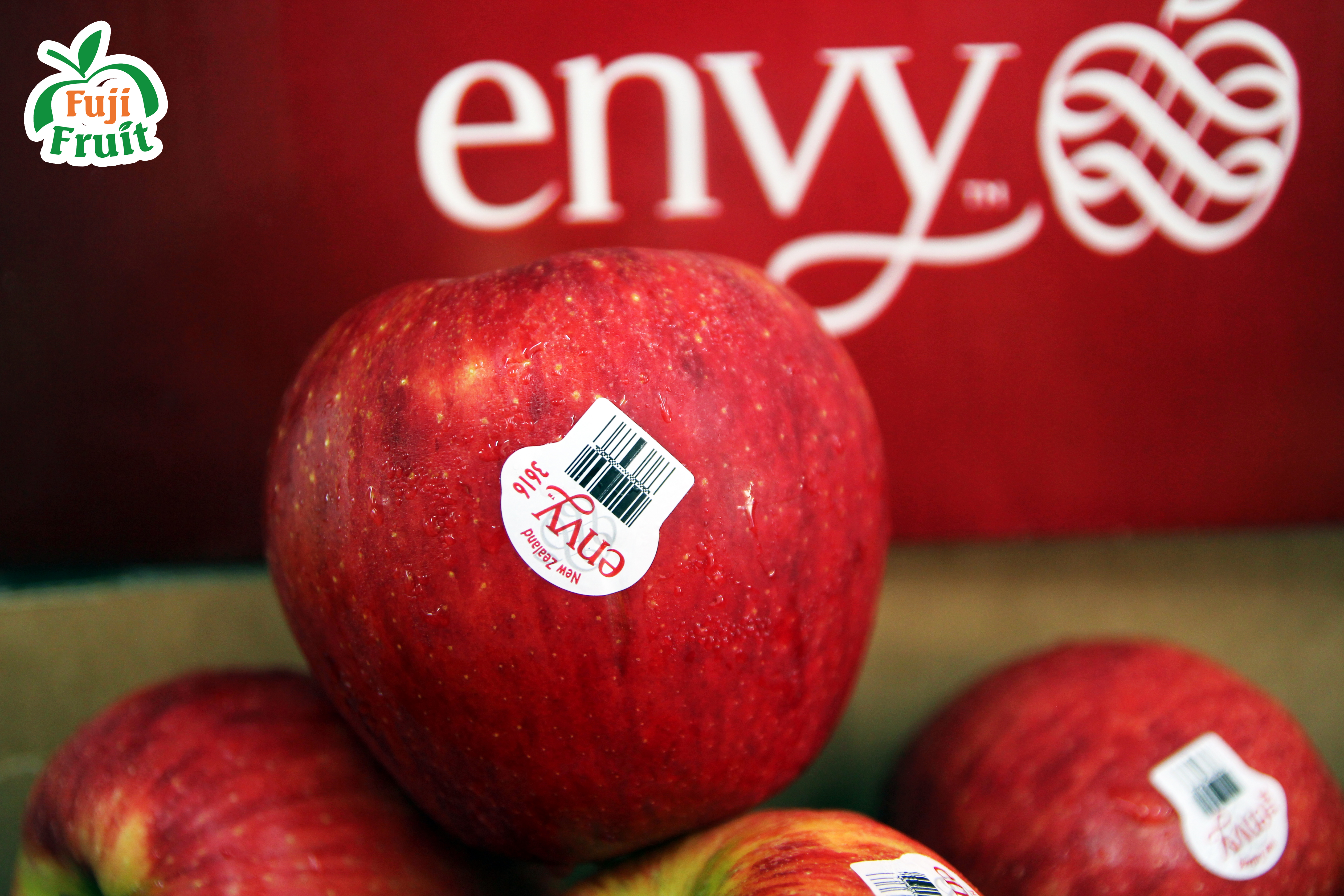 Ý nghĩa Apple Envy size 24, 30, 70, 90 | quả phú sĩ